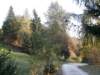 lavaroneautumninthewood58_small.jpg
