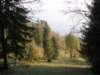 lavaroneautumninthewood59_small.jpg