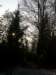 lavaroneautumninthewood60_small.jpg