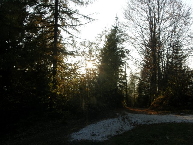 lavaroneautumninthewood61.jpg
