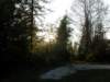 lavaroneautumninthewood61_small.jpg