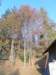 lavaroneautumninthewood63_small.jpg