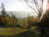 lavaroneautumninthewood65_small.jpg