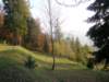 lavaroneautumninthewood69_small.jpg
