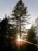 lavaroneautumninthewood70_small.jpg