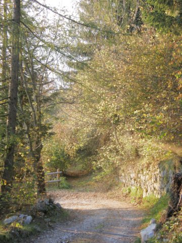 lavaroneautumninthewood71.jpg