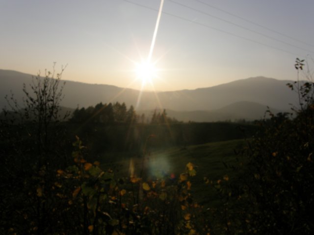 lavaroneautumninthewood72.jpg