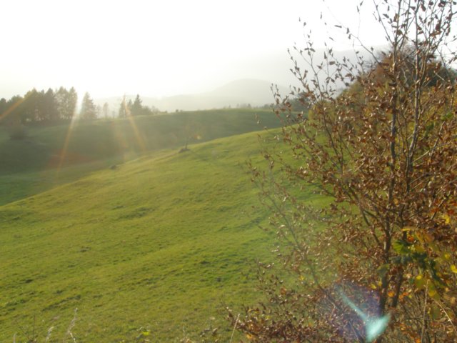lavaroneautumninthewood73.jpg