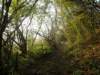 lavaroneautumninthewood76_small.jpg