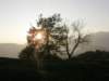 lavaroneautumninthewood84_small.jpg
