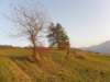 lavaroneautumninthewood87_small.jpg