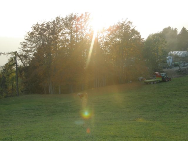 lavaroneautumninthewood88.jpg