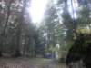 lavaroneautumninthewood9_small.jpg