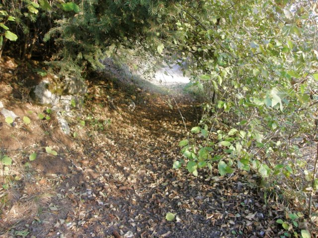photo3.jpg