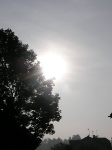 lavaronemorninglights12.jpg