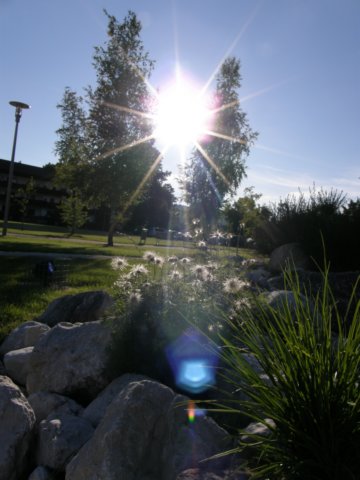 austriabayern2009238.jpg