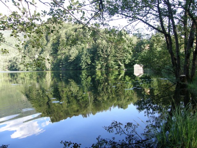 austriabayern2009240.jpg