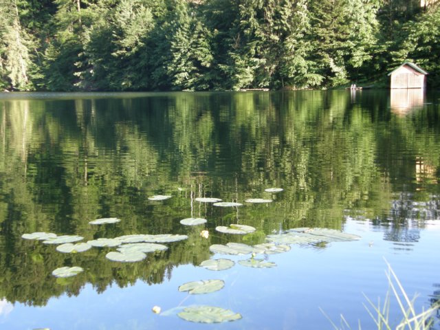 austriabayern2009244.jpg