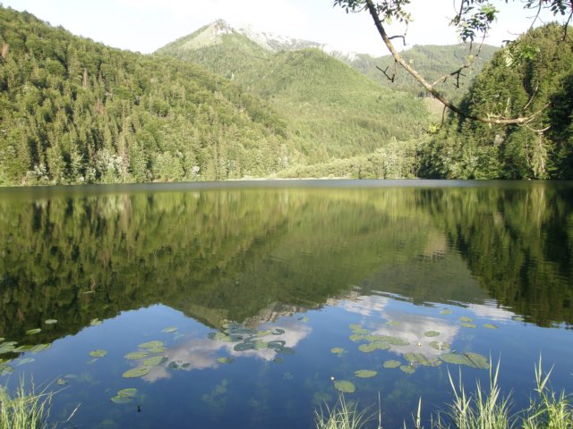 austriabayern2009246.jpg