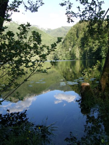austriabayern2009248.jpg