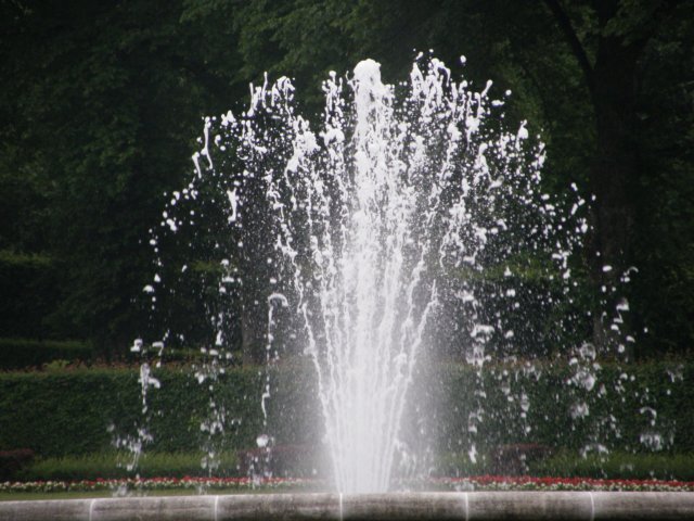 austriabayern200946.jpg