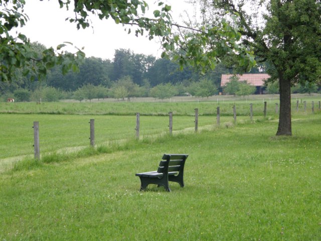 austriabayern200950.jpg