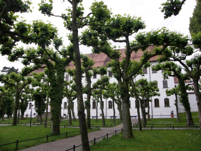 austriabayern200958.jpg