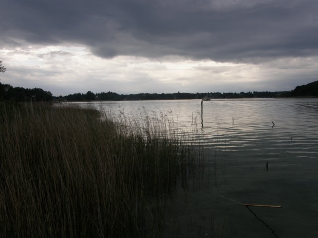austriabayern200964.jpg