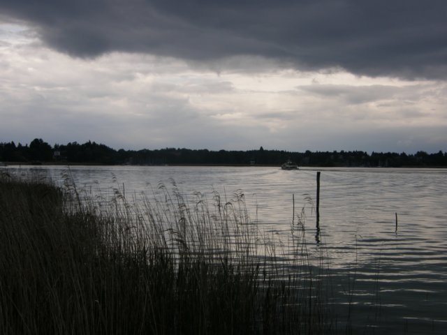austriabayern200966.jpg