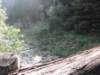 lagosmeraldojuly201037_small.jpg