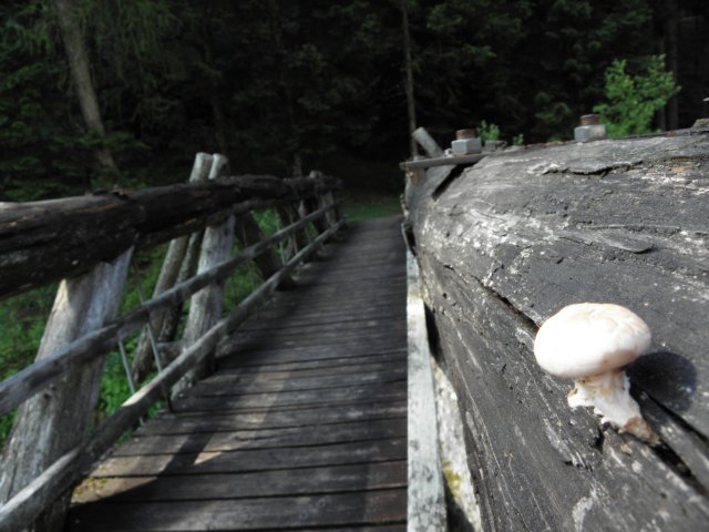 lagosmeraldojuly201038.jpg