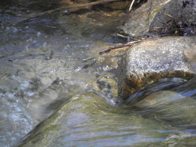 lagosmeraldojuly201041.jpg