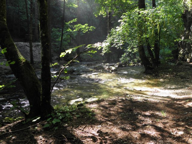 lagosmeraldojuly201047.jpg