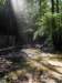 lagosmeraldojuly201048_small.jpg