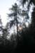 lagosmeraldojuly201060_small.jpg