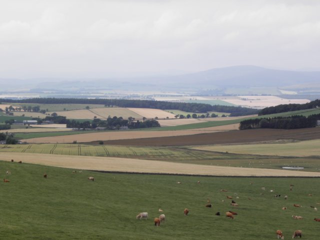 englandscotlandwales2010113.jpg