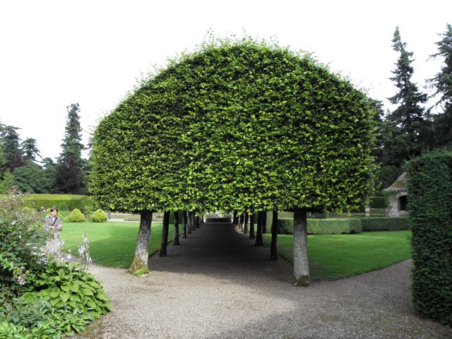 englandscotlandwales2010122.jpg