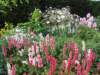 englandscotlandwales2010126_small.jpg