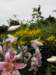 englandscotlandwales2010127_small.jpg