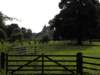 englandscotlandwales2010131_small.jpg