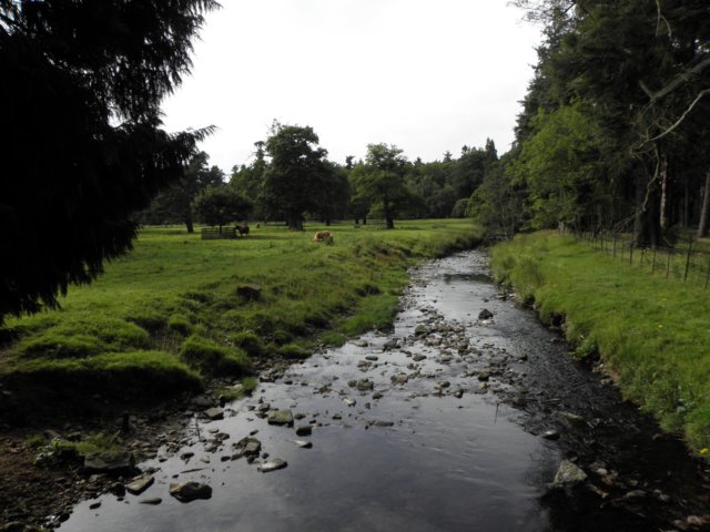 englandscotlandwales2010132.jpg