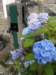 englandscotlandwales2010140_small.jpg