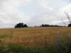 englandscotlandwales2010153_small.jpg