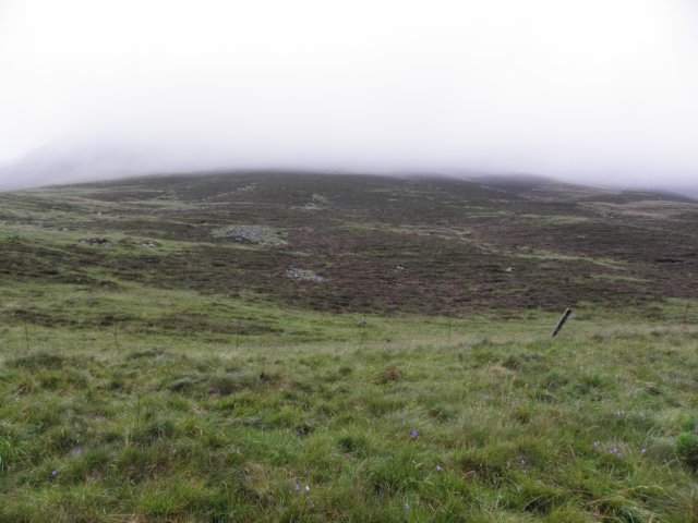 englandscotlandwales2010161.jpg
