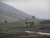 englandscotlandwales2010167_small.jpg
