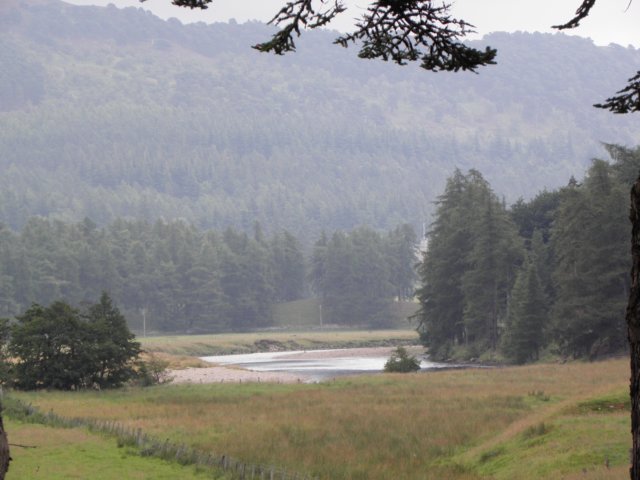 englandscotlandwales2010174.jpg