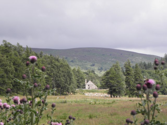 englandscotlandwales2010183.jpg