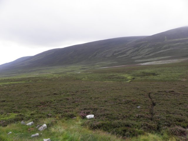 englandscotlandwales2010185.jpg