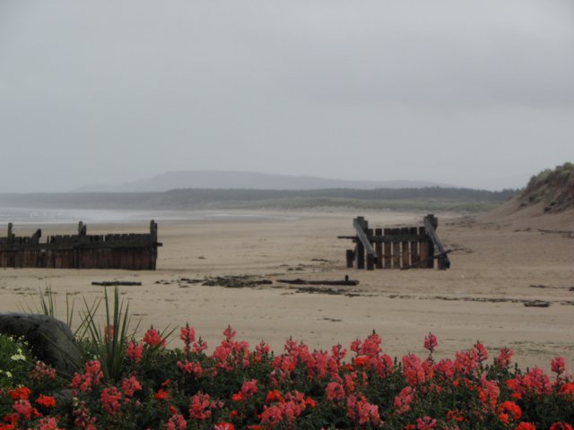englandscotlandwales2010193.jpg