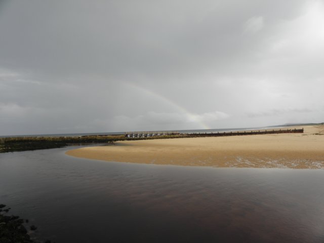 englandscotlandwales2010195.jpg